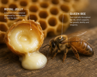 ARCTIC ROYAL JELLY™